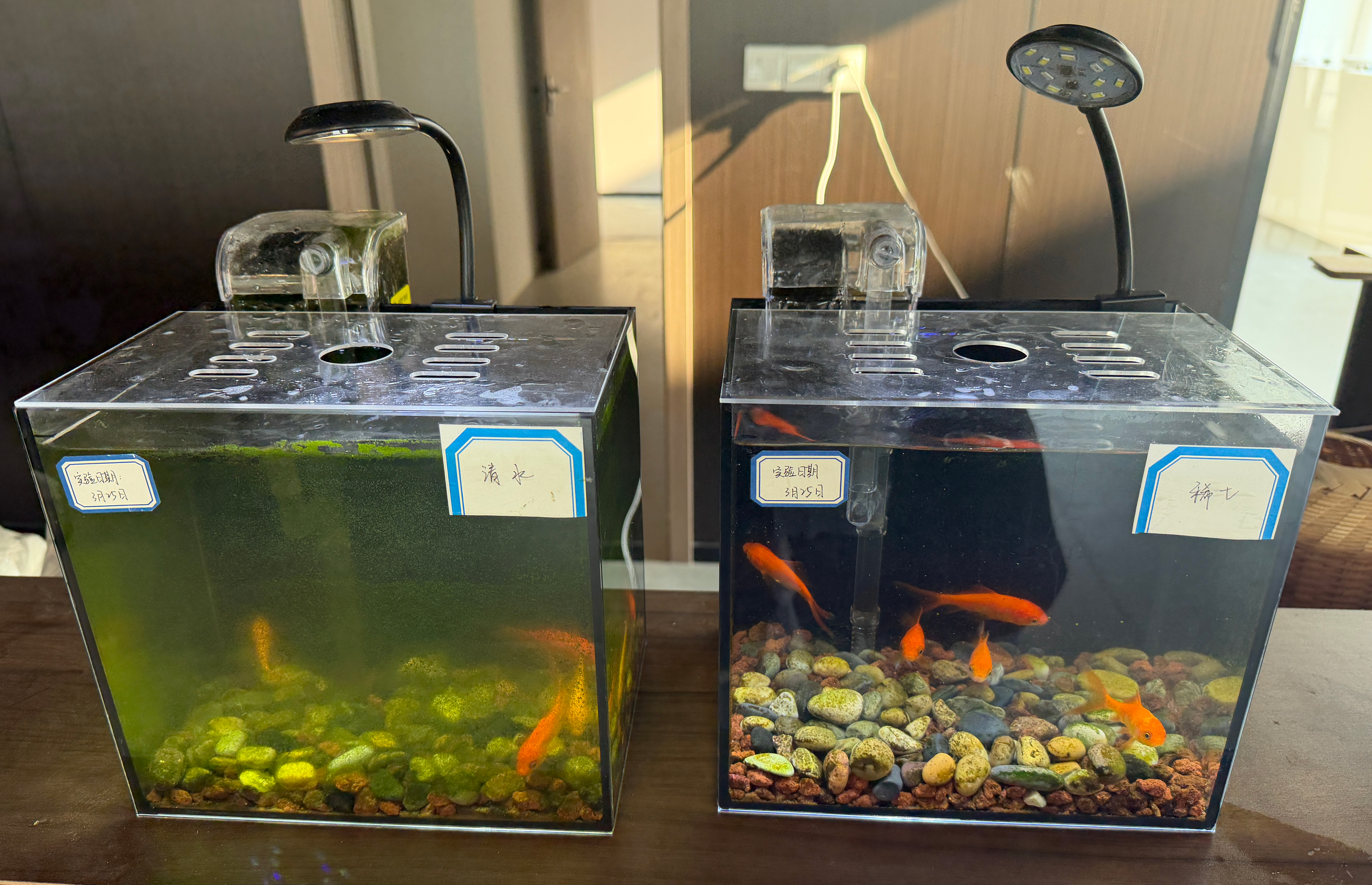 青年入乡实践案例（七）｜浙大湖州研究院青年入乡激活力 科创净水润乡土