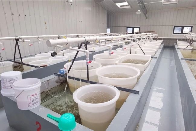浙江大学湖州研究院